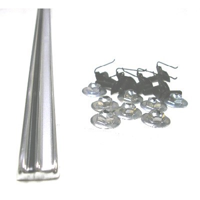 Trunk and Rear Body Moldings